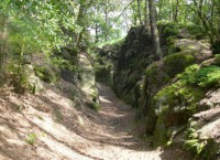 /album/fotogalerie-cinibulkova-stezka-a-lakave-skalni-labyrinty/prusecna-skala-hluboka-vozova-cesta-vytesana-v-piskovcovem-masivu-byla-pouzivana-snad-i-svedy-za-tricetilete-valky-jpg1/